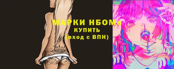 соль ск Фёдоровский